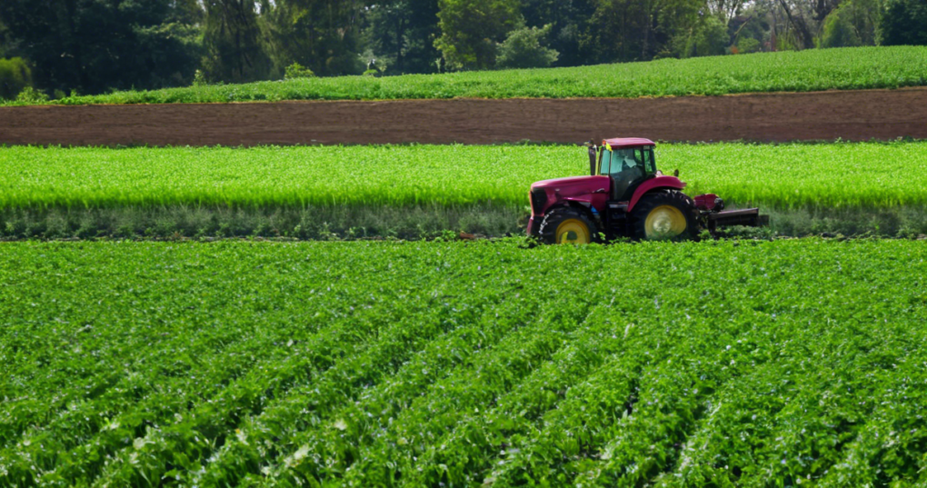 KRIBHCO: A Model Cooperative for Agricultural Development