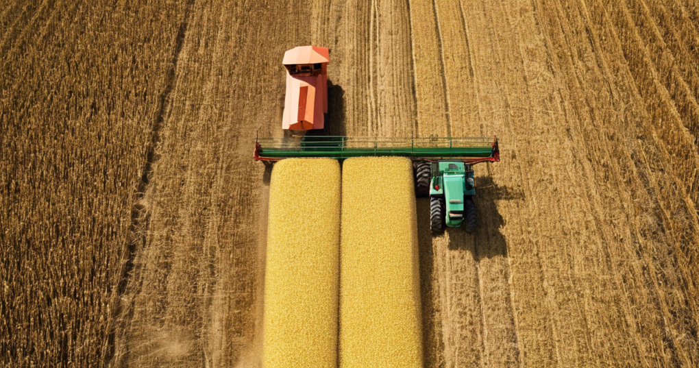 The Role of Agro-processing in Agribusiness