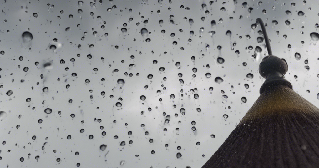 Best Materials for Building Rainwater Harvesting Systems