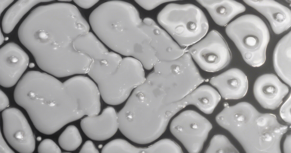 Exploring Surface Tension in Milk and Its Impact on Dairy Products