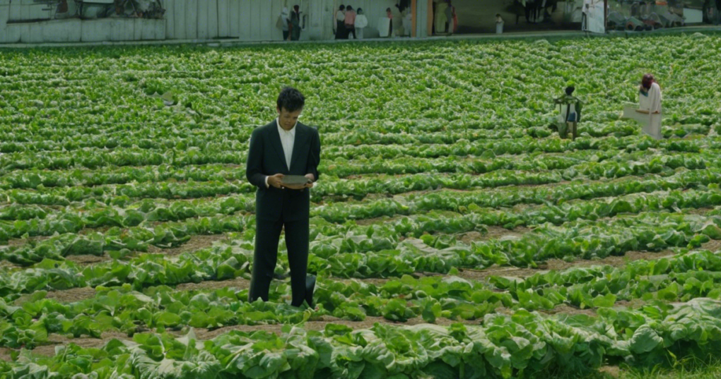 Defining Agriculture and Agribusiness: Key Differences