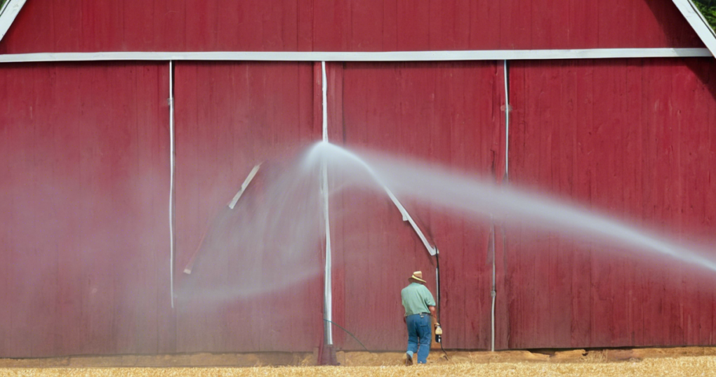 Comprehensive Pest Control Measures for Poultry Farms