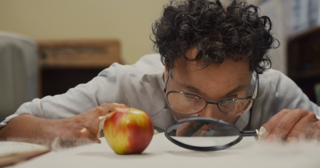 The Importance of Inspection in Food Quality Control
