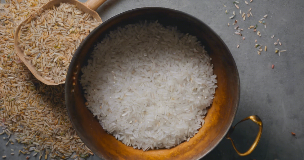 Paddy Processing - Agriculture Notes by Agriculture.Institute