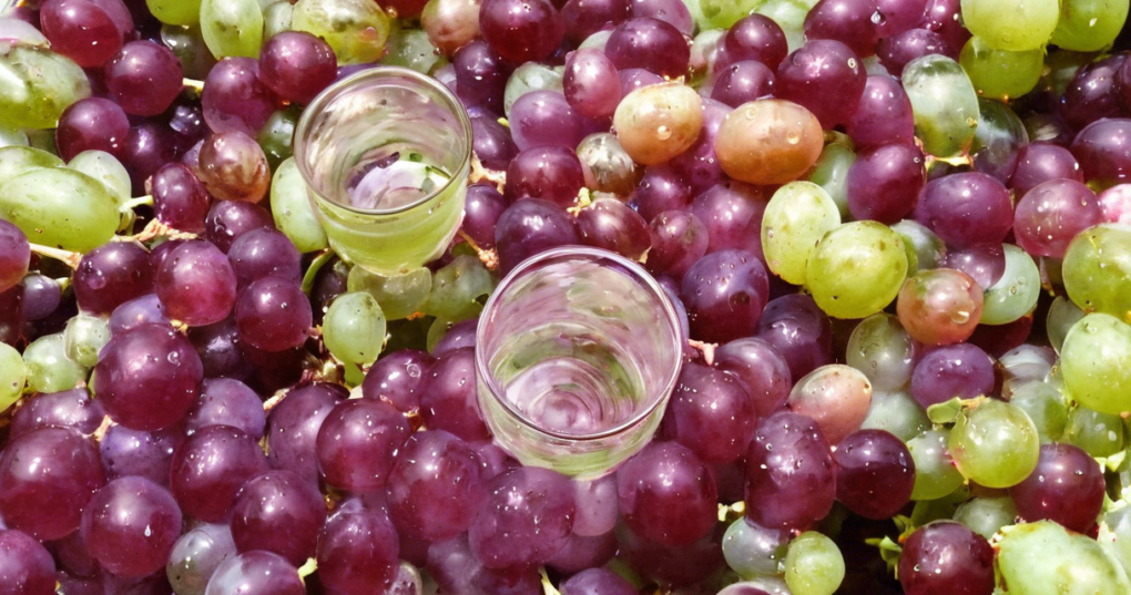Microbial Fermentation in the Production of Wine, Vinegar, and Other Fermented Foods