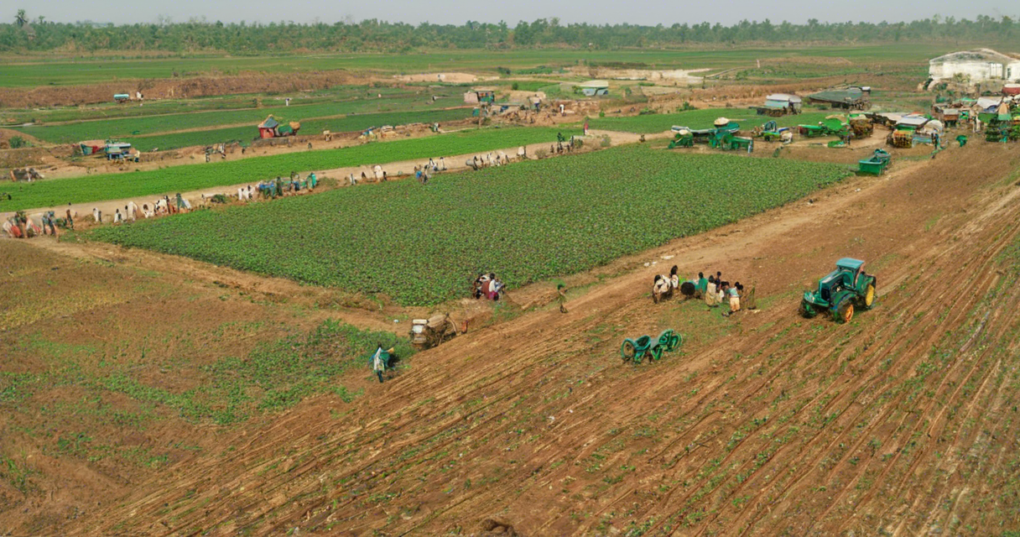 The Rise of Agribusiness in India: A Historical Perspective