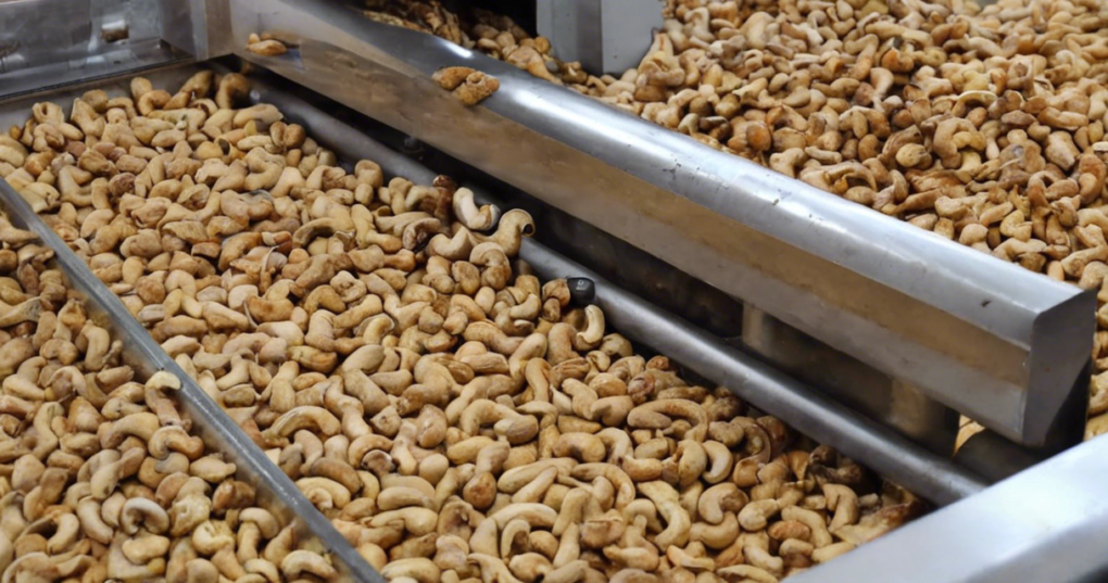 Enhancing Cashew Kernel Value Through Innovative Processing