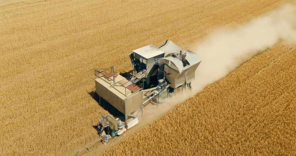 How to Measure the Efficiency of Grain Cleaners and Graders