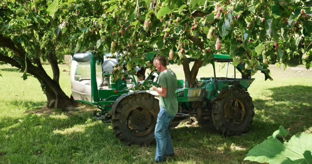 The Role and Benefits of Mechanization in Mulberry Farming
