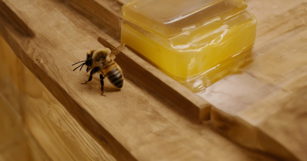 Best Practices for Long-Term Storage of Bee’s Wax
