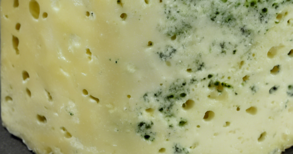Environmental Factors Impacting Microbial Growth in Dairy Products