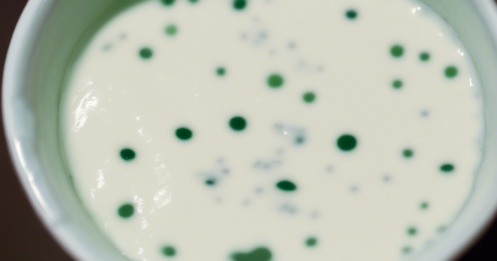 Common Defects in Fermented Milk Products and How to Avoid Them