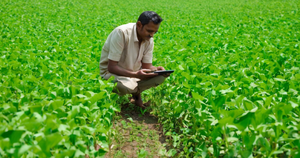 Blockchain Adoption in Indian Agriculture: Current Scenario