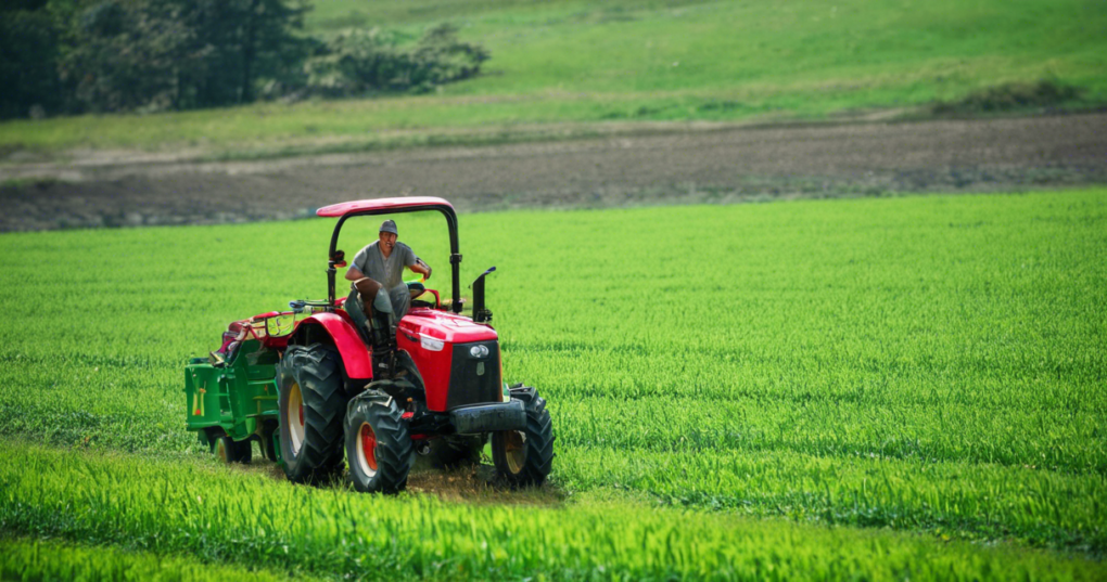 Promoting Organic Farming in Northeast India through the Technology Mission