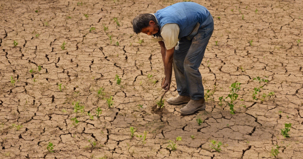 Soil Fertility Status in India: Challenges and Solutions