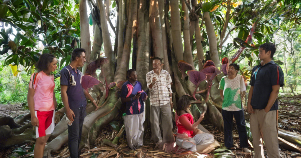 Insights into the International Rubber Study Group’s Mission and Activities