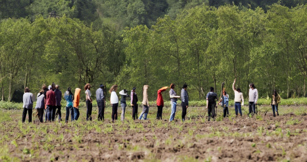 Role of Management Principles in Effective Plantation Operations