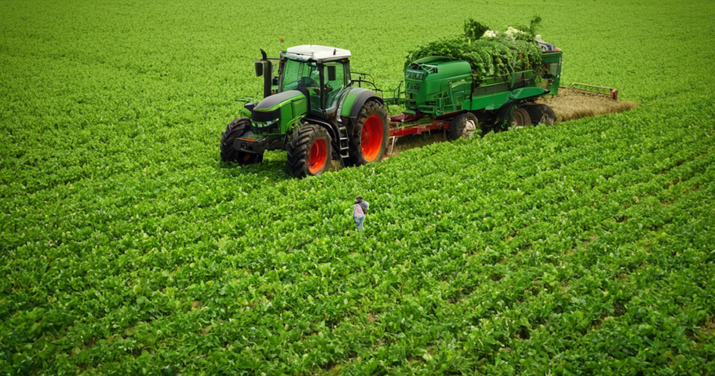 Key Support Measures for Enhancing Agricultural Growth in India
