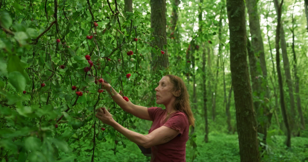 Comprehensive Checklist for Certifying Organic Wild Harvests