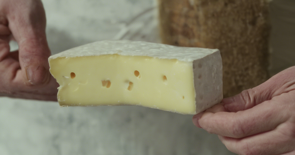 Paneer Quality Standards: What You Need to Know