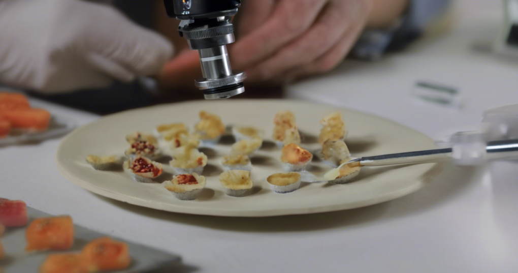 Understanding Food Adulteration and Contamination: Detection Methods