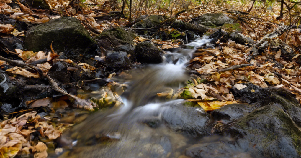 Runoff: The Journey of Water Over Land