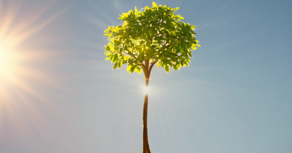 Developing the Right Mindset for Entrepreneurship Success