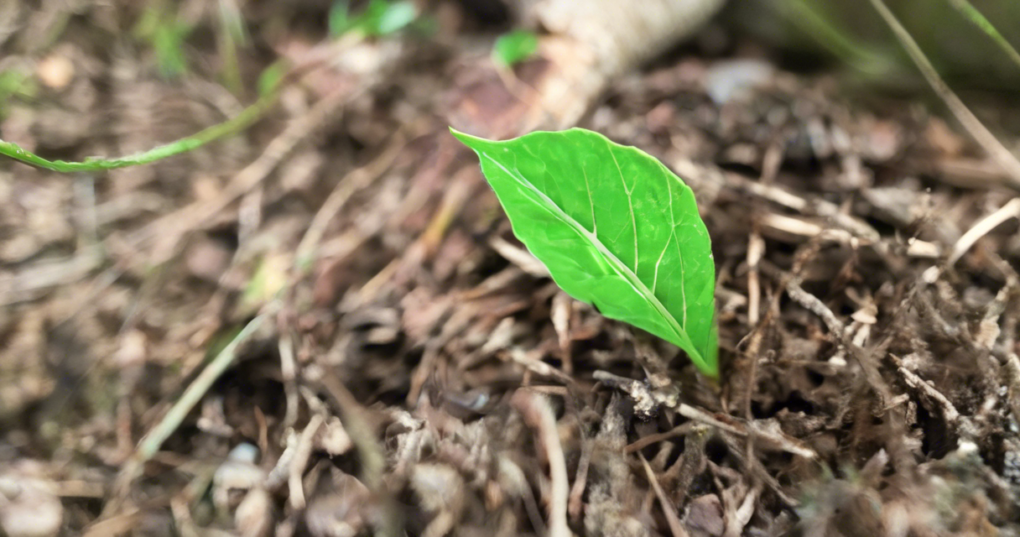 Understanding the Core Concepts of Empowerment